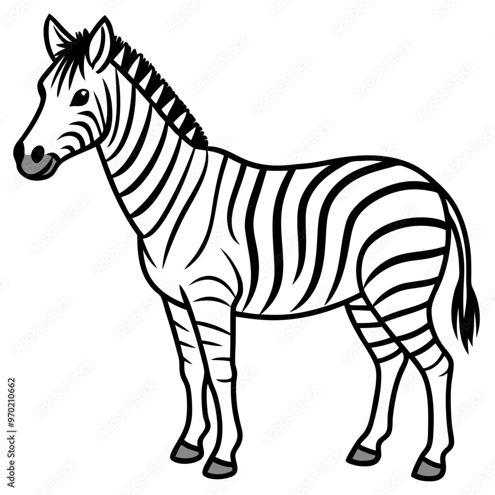 Wall mural zebra line art vector illustration