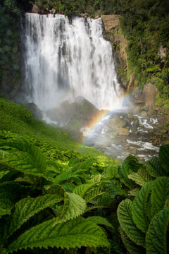 marokopa falls in the north island of new zealand