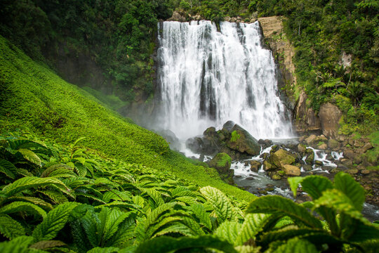 marokopa falls in the north island of new zealand