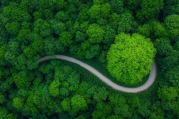 Aerial view of a winding road cutting through a dense, vibrant green forest, creating a peaceful and serene landscape. Ideal for nature tourism, eco-friendly designs, or adventure travel banners with 