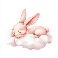 Obraz premium white rabbit on cloud isolated on white