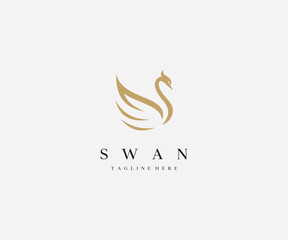 elegant swan logo vector