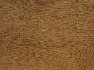 Wood texture background, Quercus, Veneer made of natural wood, raised wood grain texture, Old wood of quercus, Wood brushing, Antiquing effect - Quercus alba, Quercus Robur, White oak