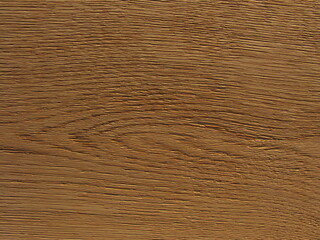 Wood texture background, Oak, Veneer made of natural wood, raised wood grain texture, Old wood of quercus, Wood brushing, 