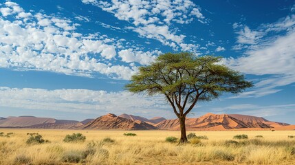 Obraz premium Solitary Tree in a Vast, Dry, Desert Landscape