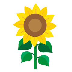 シンプルなひまわりのイラスト