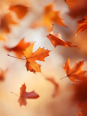 ２Beautiful autumn foliage with colourful foliage Generative AI