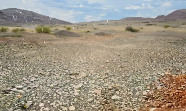 Hyperlapse of Desert Blooming into Wildflower Field