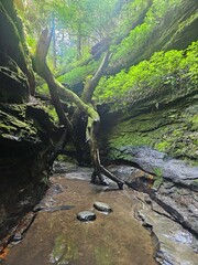 Hiking the trails through the gorge of Turkey Run State Park, Indiana