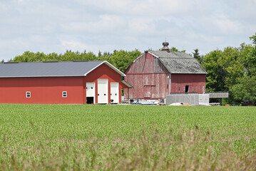 Old and New Barns