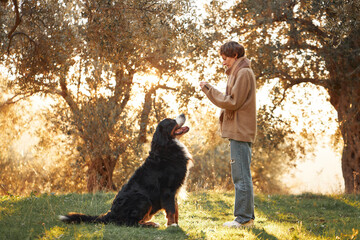 A woman and her Bernese Mountain Dog share a moment of mutual respect during a walk in the woods.