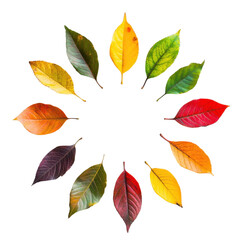 Obraz premium A vibrant arrangement of colorful leaves, showcasing the beauty of nature in autumn with rich hues and diverse shapes.