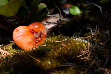 A close up image of a heart shaped carnelian crystal on a thick bed of moss. 
