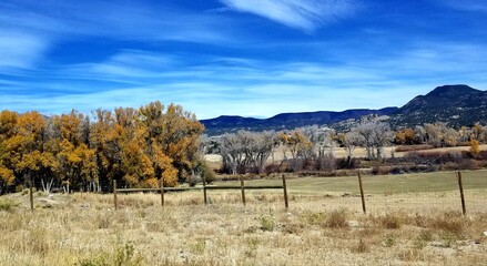 Fototapeta premium Country side in Colorado 