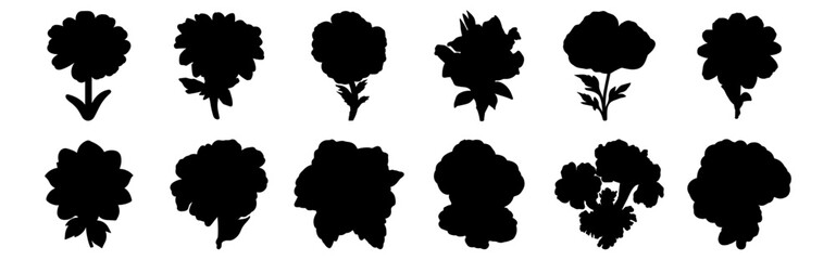 Flower silhouettes set, pack of vector silhouette design, isolated background