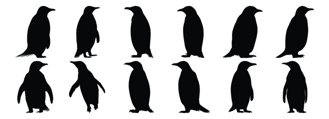 Penguin silhouettes set, bird pack of vector silhouette design, isolated background