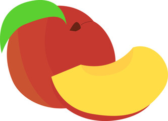 Nectarine Fruit Illustration