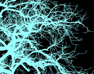 silueta arbol, arbusto, hojas, ramas, otoño, ilustracion, bosques, naturaleza, sequia, atmosfera