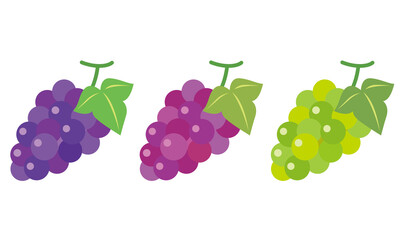 ぶどう　巨峰　果物　種類