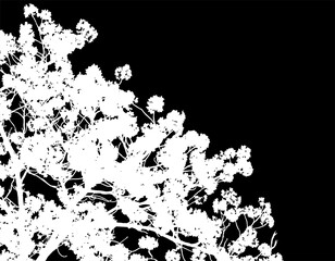 silueta arbol, arbusto, hojas, ramas, otoño, ilustracion, bosques, naturaleza, sequia, atmosfera