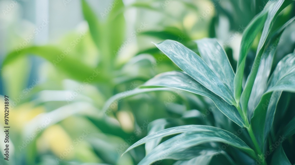 Poster experiencing the beauty of lush greenery with rich textures and hues in a tranquil botanical setting