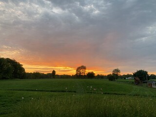Fototapeta premium sunset over the field