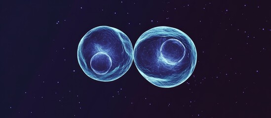 Microscopy Image Of Two Open Nucleus Droplets Of Stem Cells Dividing Into Two Cells Blastocyst Embryo Birth Cancer Repair Generation Growth Reproduction Assisted Reproductive Technology
