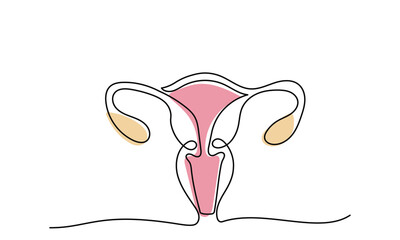 Uterus Female reproductive system, cycle.women's genital organ, Internal organs concept.line art illustration isolated on a white background.
