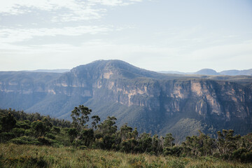Green forest in a mountain range looking out over the view