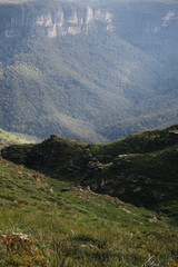 Looking down over a mountain valley in a forest