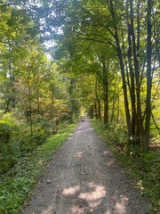 Obraz premium path in the woods