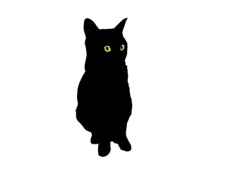 斜め前を向いて座る猫のシルエットイラスト（目あり）