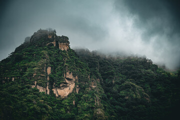 Misty forest and mountain landscape with clouds