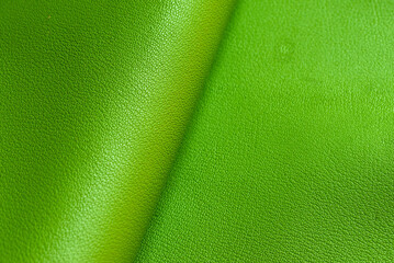 French goat leather