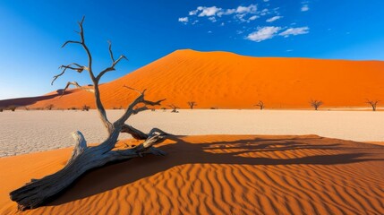 A vast desert with orange dunes and a dry tree under a bright blue sky. 
