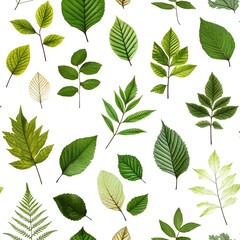 Lush Foliage Seamless Pattern with Natural Fresh Leaves on White Background