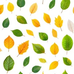Obraz premium Seamless Pattern with Various Fresh Leaves on White Background