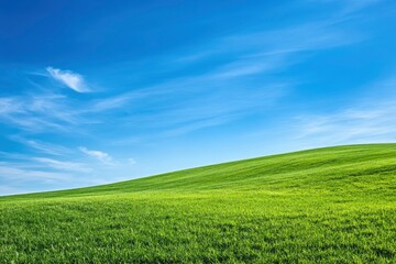 Green Land, Blue Sky, Summer Sunny Day Background, Wide View Of Lawn Hill and Blue Sky , ai