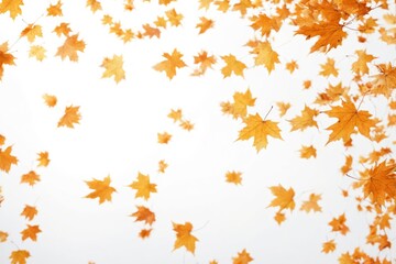 Collection orange maple leaves falling from sky are PNG Falling