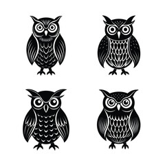 set of owls on white background