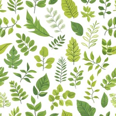 Fototapeta premium Seamless Pattern with Assorted Natural Green Leaves on White Background