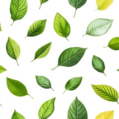 Fototapeta premium Seamless pattern with diverse variety of natural green leaves on bright white background