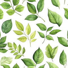 Seamless Pattern of Fresh and Natural Assorted Leaves on White Background