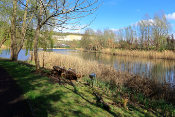 A view of the trees and white cliffs overlooking the lake at Bluewater in North Kent