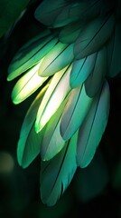 Fototapeta premium close-up of green feathers with light