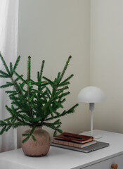 Fir branches in a ceramic vase, a table lamp, a laptop, notebooks on a white wooden desktop. Christmas house