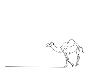 One continuous line drawing Camel walking in the desert illustration. Camel hand drawn design.