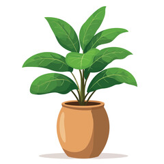 Decorative home plant vector