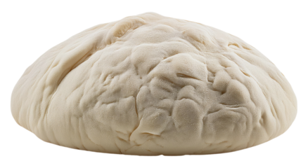 Closeup of a Single White Dough Dumpling Isolated on Transparent Background