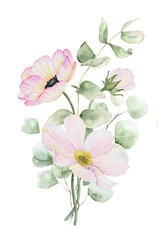 Bouquet of Anemone and Cosmea flowers and eucalyptus leaves. Isolated hand drawn watercolor illustration. Summer floral design for wedding invitations, cards, posters, packaging of goods